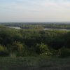 finnek 2011 028